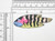 Tropical Fish Black Striped Iron On Patch Applique

Fully Embroidered 

Measures 3/4" high x 2 1/2" wide approximately