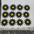 12 x Daisy Black & Yellow 12 Petal Iron On Patch Applique  Measures 1 1/2" 
 Measures 1 1/2" high x  1 1/2" wide