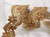 Metallic Beaded Trim 2" Wide (50mm) Copper