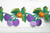 Embroidered Fruit Vine  114mm 4 1/2" wide Priced Per Yard  Iron On

Fabulous embroidered trim in available to ship within 24 hours

Heat Seal or Iron On - excellent Quality!