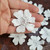 Venice Lace Flower Appliques Off White 10 Pack