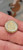 Dill Knopf Crown & Crest  2 tone Metal 20mm Shank Button Per Piece