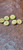Vintage Gold Tone Cream Enamelled Metal Shank Button 20mm Per Piece