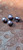 Pearlized Rounded 11mm Shank Buttons 4 Pack