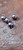 Pearlized Rounded 11mm Shank Buttons 4 Pack