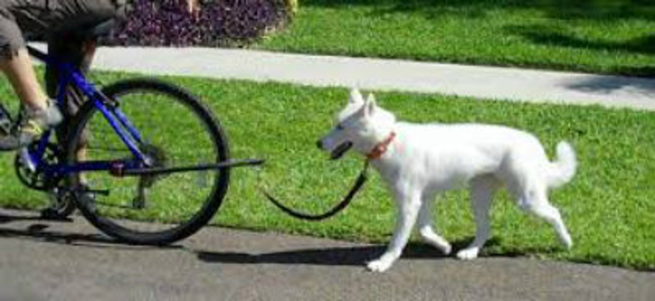 K9 Cruiser Bicycle Leash - A Dog's Best 