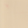 Paint Color Desert WSC70-0 for 8' x 10 ' Shed.
