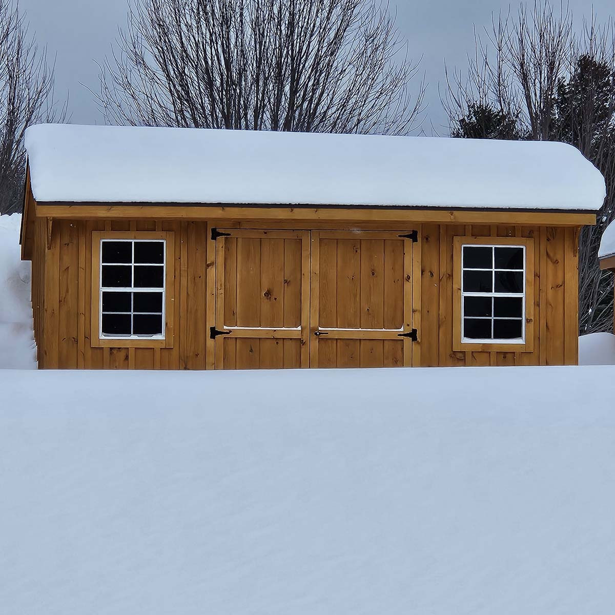 Snow Load ? No problem!
