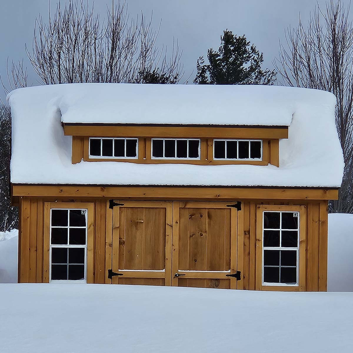 Snow Load ? No problem!
