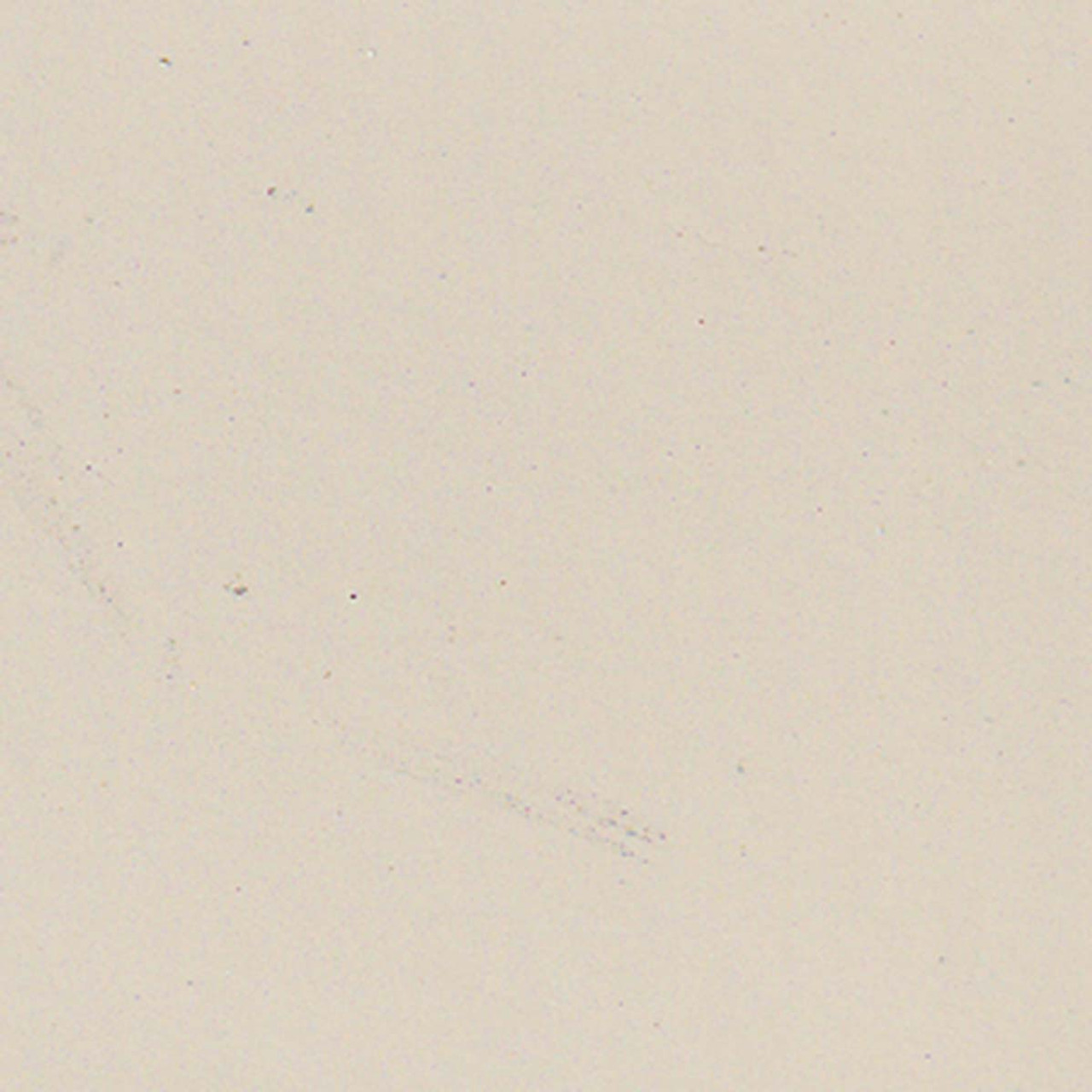 Paint Color Navajo White WSC52-0 for 6' x 8 ' Shed.