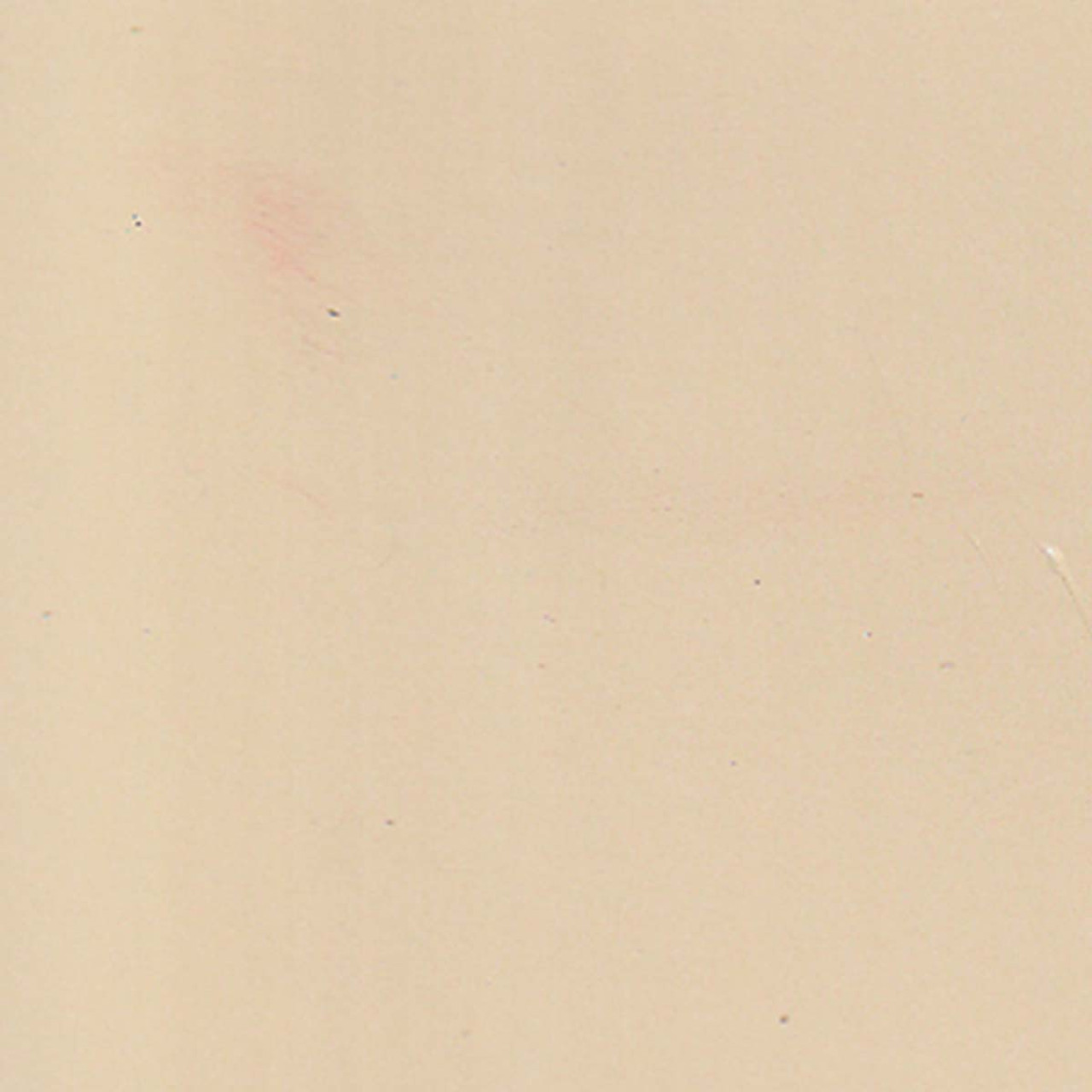 Paint Color Desert WSC70-0 for 8' x 10 ' Shed.