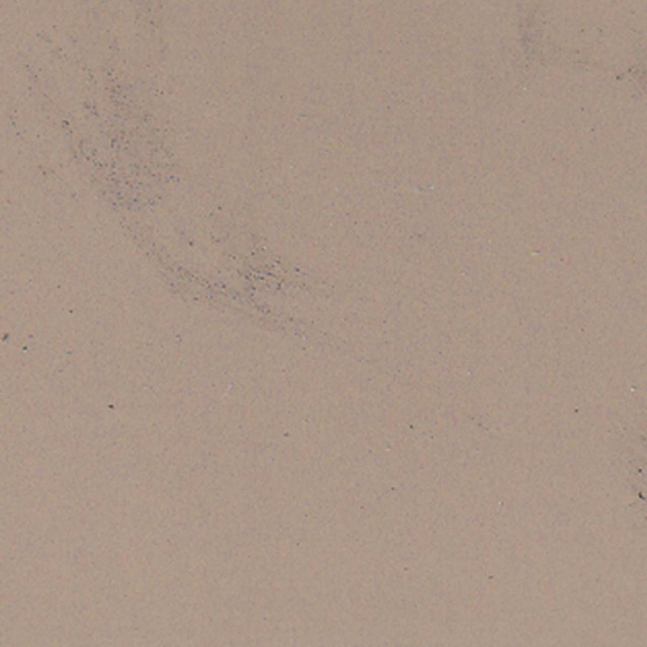 Paint Color Prairie Dog WSC45-9 for 8' x 10 ' Shed.