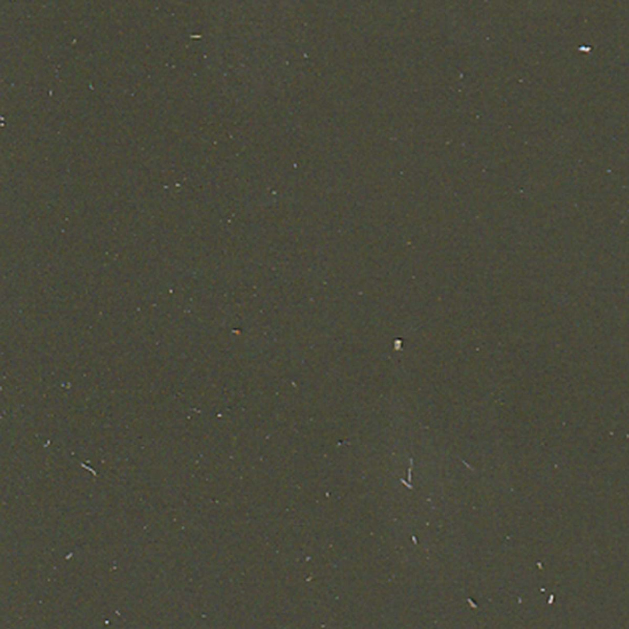Paint Color Pine Forest WSC57-9 for 10' x 10 ' Shed.