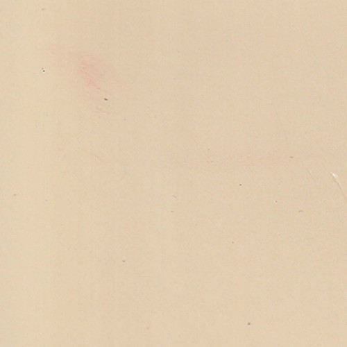 Paint Color Desert WSC70-0 for 8' x 10 ' Shed.