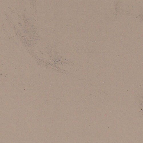 Paint Color Prairie Dog WSC45-9 for 8' x 10 ' Shed.