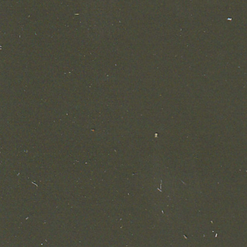 Paint Color Pine Forest WSC57-9 for 10' x 10 ' Shed.