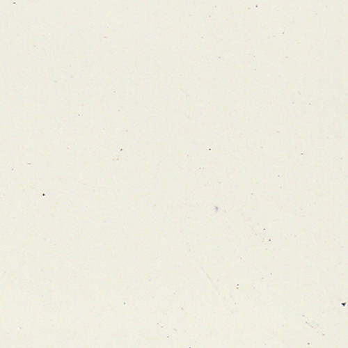 Paint Color Doves Wing WSC51-0 for 10' x 14 ' Shed.