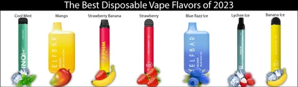 The Best Disposable Vape Flavors of 2023 - A Guide for Beginners