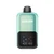 Cool Mint Ice Flavored Geek Bar 2GO Disposable Vape - 50K Puffs | The Smoke Plug