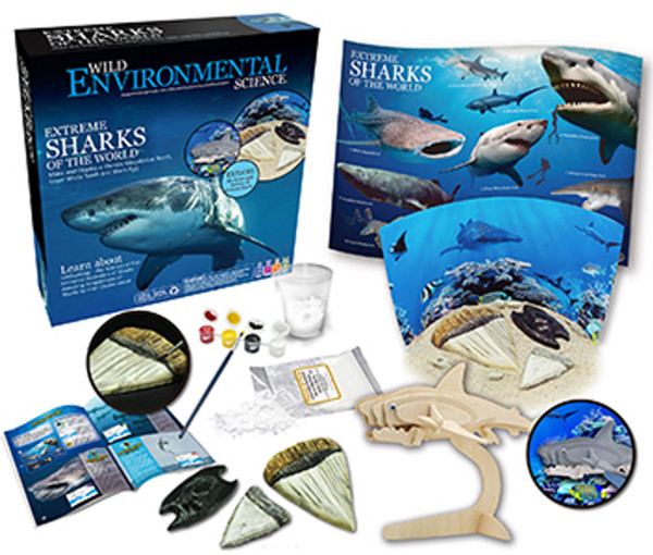 Extreme Sharks Science Kit