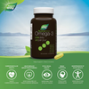 NutraSea One Daily Omega 3 Benefits