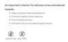 Aor Pro Adrenal Gladular Benefits