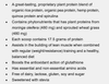 Alpha Science Vegan Protein - Benefits