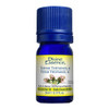 Divine Essence Thyme Thuyanol-4 Essential Oil 5ml
