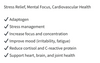 Biomed Ashwagandha Benefits