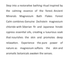 Ancient Minerals Magnesium Bath Flakes Calm - Benefits