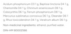 Dr Reckeweg R4 Ingredients