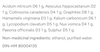 Dr Reckeweg R13 Ingredients