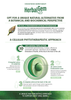 HerbalGem Gemmotherapy Benefits