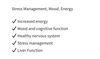 Biomed B Complex Benefits