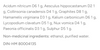 Dr Reckeweg R13 Drops Ingredients