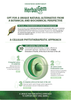 HerbalGem Gemmotherapy  Benefits