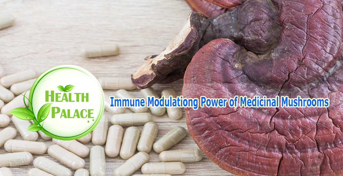 What are the Health Benefits of Mushrooms? | Mushroom Supplements for Immune System Boosting