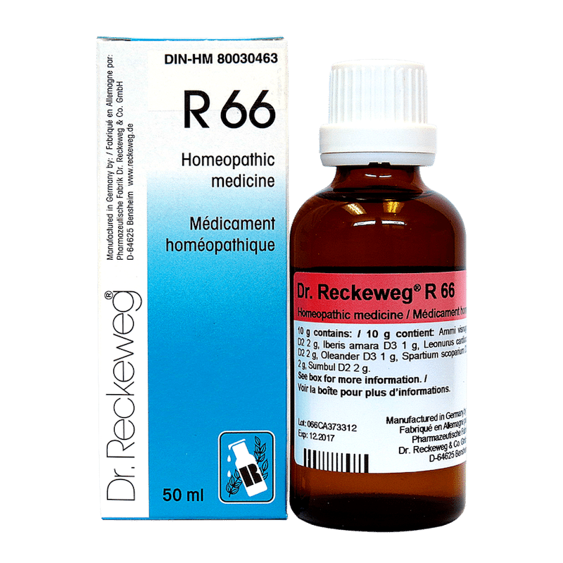 dr-reckeweg-r66-50-ml-health-palace