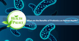 What are the Benefits of Probiotics on Human Health? | Probiotic Supplements