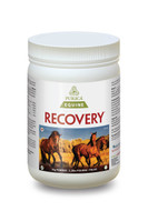 Purica Equine Recovery 1 Kg (2.2 lbs) Purica Equine Recovery 1 Kg (2.2 lbs)