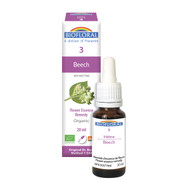 Biofloral No. 3 Beech Organic Flower Essence Remedy 20 ml 