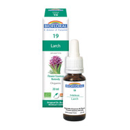 Biofloral No. 19 Larch Organic Flower Essence Remedy 20 ml