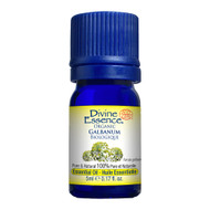 Divine Essence Galbanum Essential Oil Organic 5ml