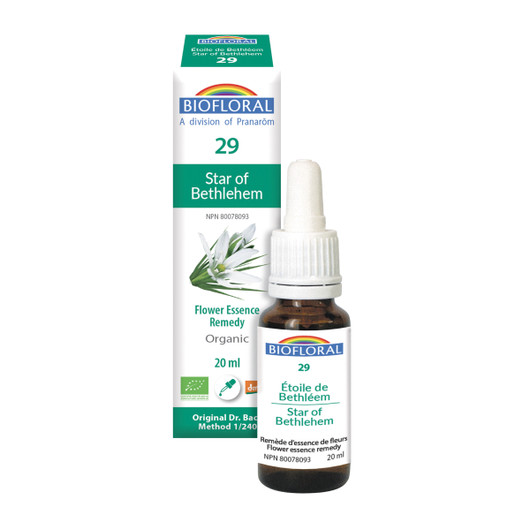 Biofloral No. 29 Star of Bethlehem Organic Flower Essence Remedy 20 ml