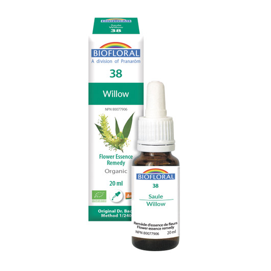 Biofloral No. 38 Willow Organic Flower Essence Remedy 20 ml