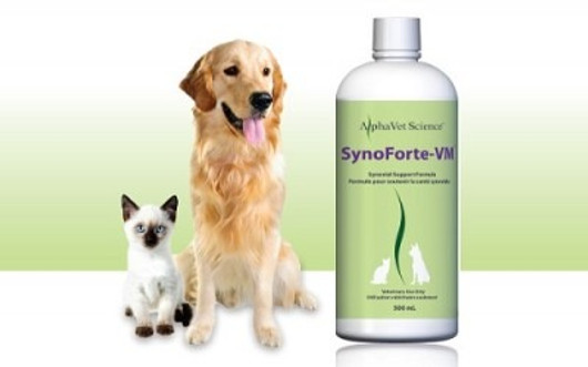 Alpha Vet Science SynoForte-VM 500 ml