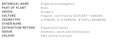Divine Essence Angelica Root Essential Oil Organic 5ml Description