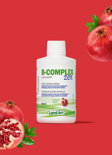 Land Art B-Complex Zen 500ml