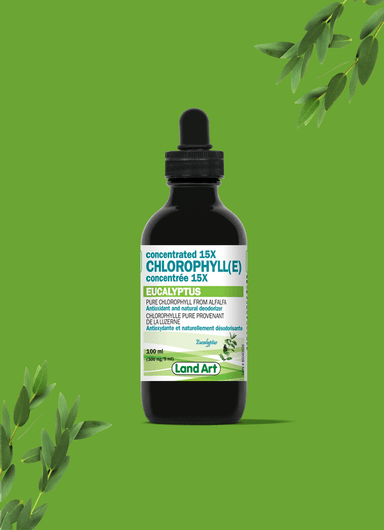 Land Art Chlorophyll(E) Concentrated 15X Eucalyptus 100ml