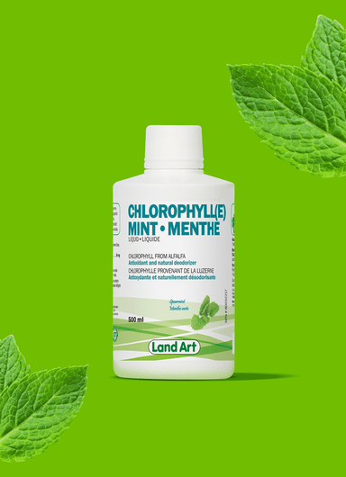 Land Art Chlorophyll(E) Mint 500ml